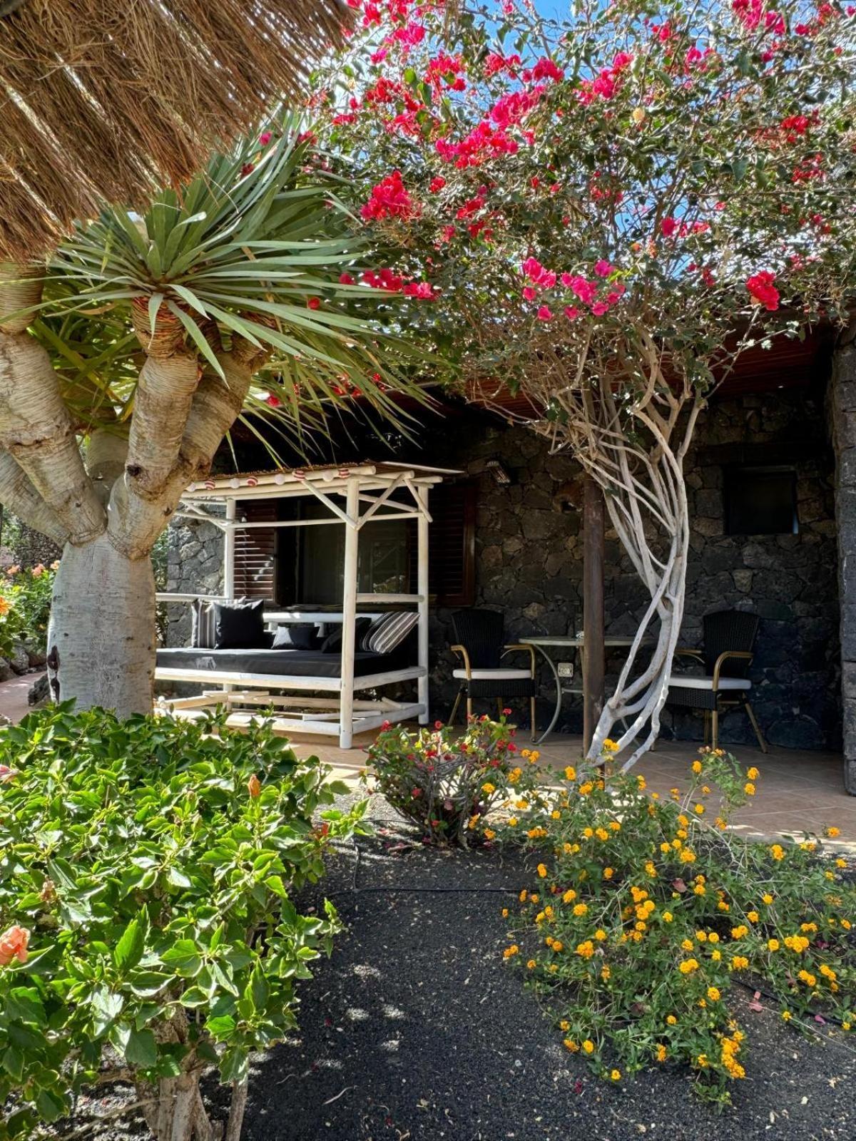 Castillo Lanzarote Villa Bailey - Luxury Villa - Pet Friendly With Heated Pool La Asomada  Exterior foto